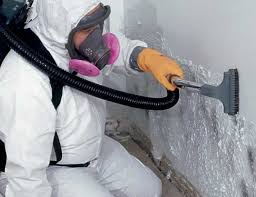 Best Real Estate Mold Inspection  in Louisville, OH